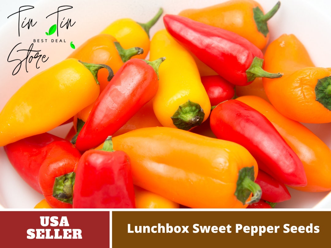 Lunchbox Sweet Pepper Seeds perennial authentic Seedsflowers organic