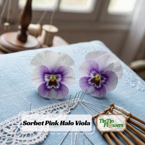 May include: Two Sorbet Pink Halo Viola flowers with white and light purple petals and yellow centers, resting on a light blue fabric surface with white lace trim, metal pins, and wooden bobbins. Text reads Sorbet Pink Halo Viola and TinTin Flowers.
