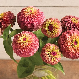 May include: A bouquet of pink and yellow zinnia flowers in a glass vase. The flowers are arranged in a loose, natural style.