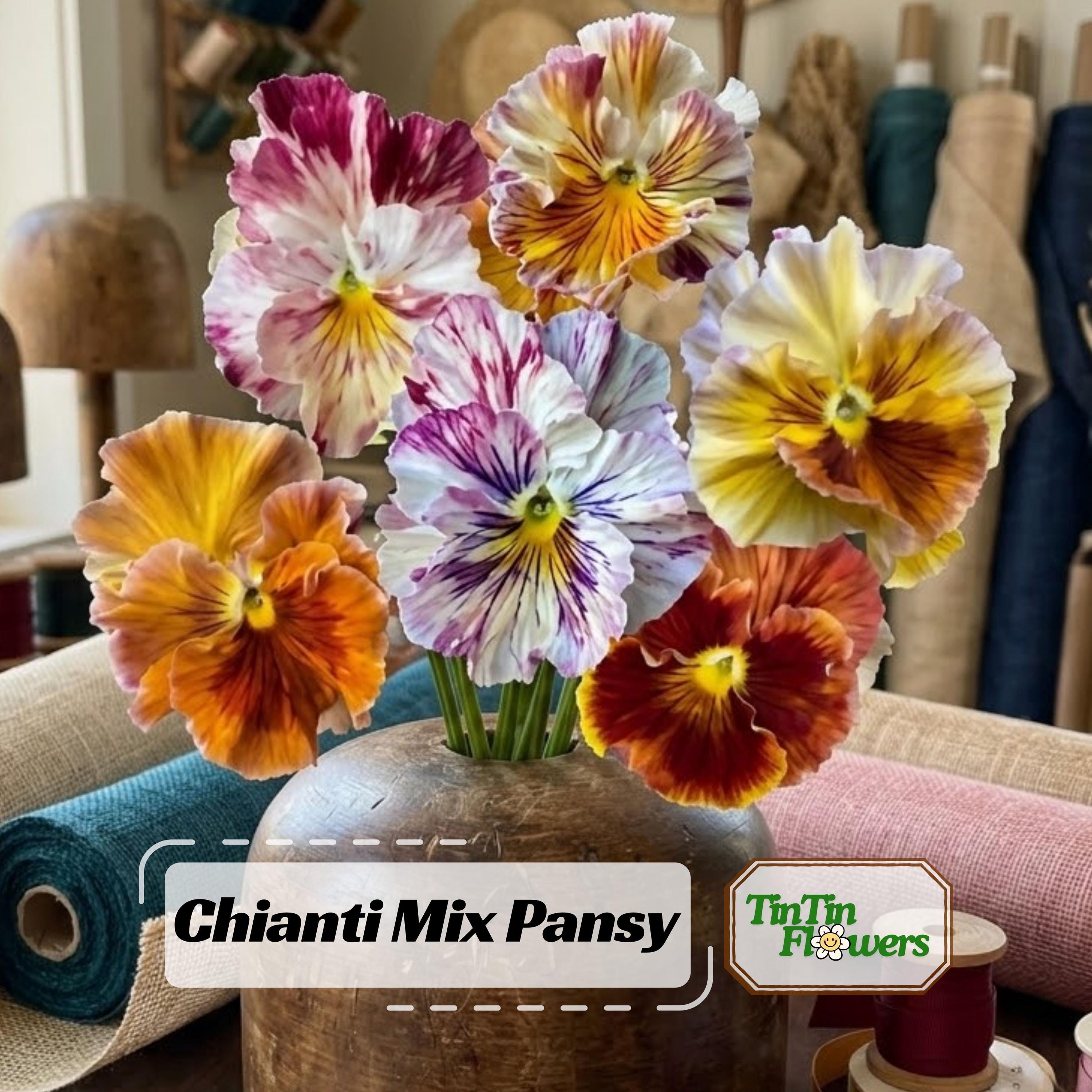 Pansies Japan - Etsy