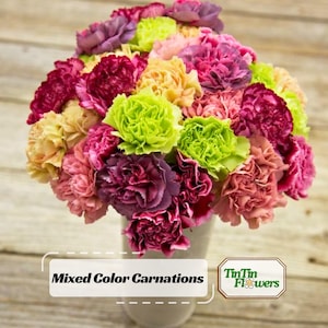 May include: A vibrant bouquet of mixed-color carnations in a white vase. The flowers display a variety of colors, including shades of pink, purple, yellow, and green. The text "Mixed Color Carnations" is displayed on a white rectangular label.
