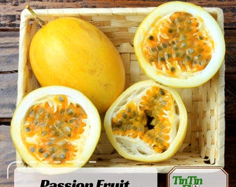 Yellow Passion Fruit Seeds – Exotic Tropical Vine – Sweet Golden Fruit – Easy Grow – Garden & Container Plant