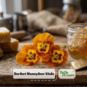 May include: Three Sorbet Honeybee Viola flowers with vibrant orange and yellow petals featuring dark brown centers. The text Sorbet Honeybee Viola and TinTin Flowers is visible on the image. The flowers are arranged on a wooden surface.