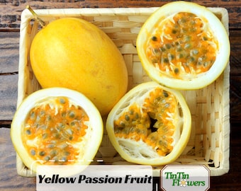Yellow Passion Fruit Seeds – Exotic Tropical Vine – Sweet Golden Fruit – Easy Grow – Garden & Container Plant