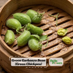 May include: Close-up of fresh green garbanzo beans, also known as green chickpeas, in a wooden steamer basket. The beans are a vibrant green color and have a fuzzy texture. The image includes the text "Green Garbanzo Bean (Green Chickpea)".