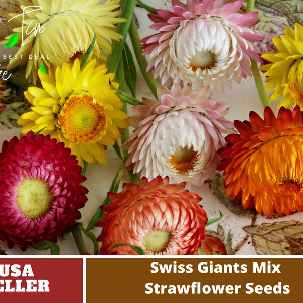 Rare Flower Seeds Etsy