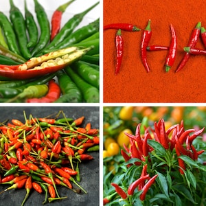 Puede incluir: Una colecci&oacute;n de chiles rojos dispuestos para deletrear la palabra "THAI" sobre un lecho de polvo de chile rojo.