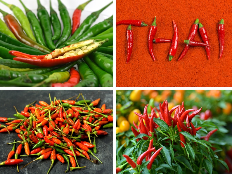 Puede incluir: Una colecci&oacute;n de chiles rojos dispuestos para deletrear la palabra "THAI" sobre un lecho de polvo de chile rojo.