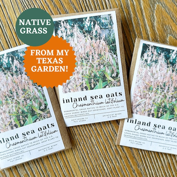 50+ Inland Sea Oats Seeds (Chasmanthium latifolium) | Northern Sea Oats | Native Grasses | Native Grass Seeds | Ornamental Grasses