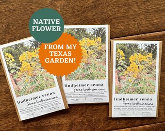 Lindheimer Senna Seeds | Velvet Leaf, Texas Native Butterfly Plant