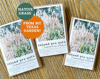 Inland Sea Oats Seeds: Native Ornamental Grass for Shade