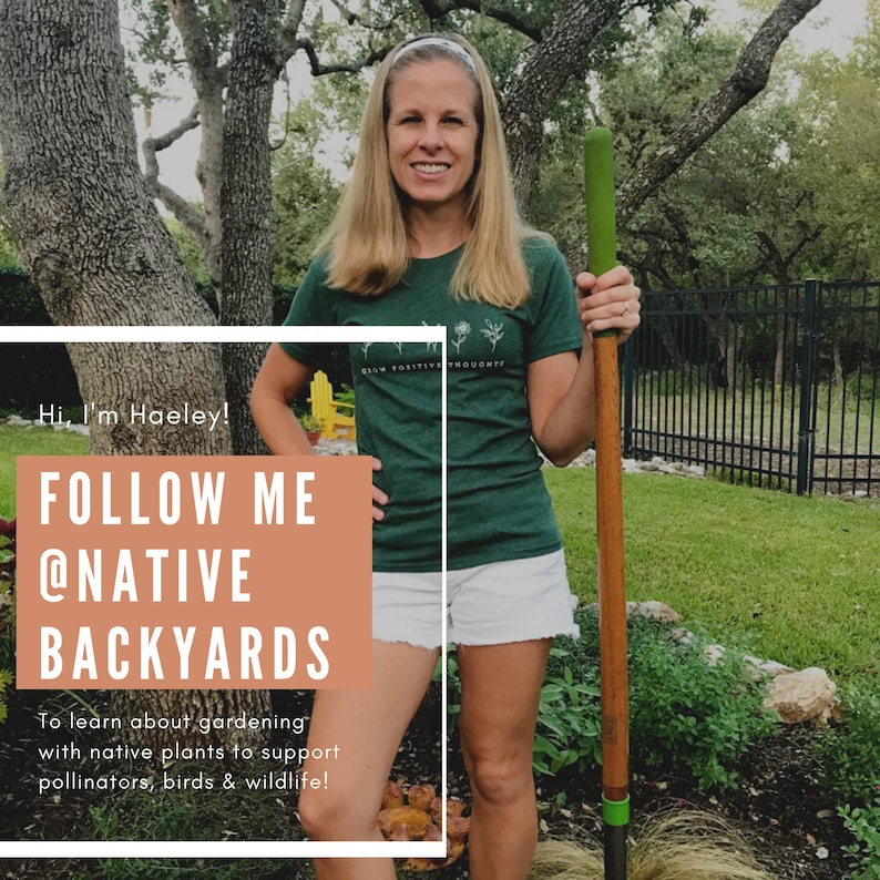May include: A woman standing in a garden holding a garden tool. She is wearing a green t-shirt with the text "Grow Positive Thoughts" and white shorts. The text "Hi, I'm Haeley! FOLLOW ME @NATIVE BACKYARDS To learn about gardening with native plants to support pollinators, birds & wildlife!" is on a brown rectangle in the foreground.