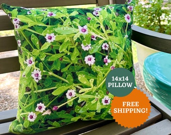 フロッグフルーツフラワーピロー：在来植物のガーデナーギフト