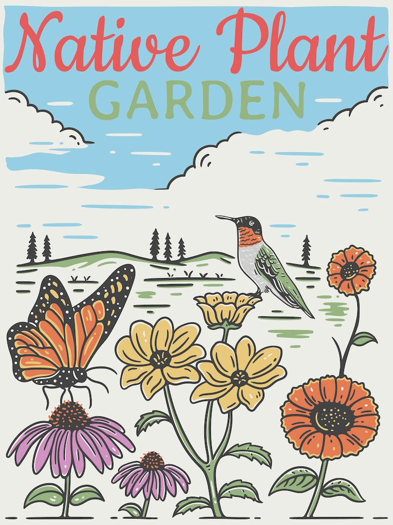 Może przedstawiać: Kolorowa ilustracja ogrodu z rodzimymi roślinami, kolibry, motylem i r&oacute;żnymi kwiatami. Tekst "Native Plant Garden" znajduje się w g&oacute;rnej części obrazu.