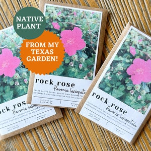 May include: Three seed packets for Rock Rose flowers. Each packet features a photo of a bright pink flower with green foliage. Text on the packets reads "Native Plant" and "From My Texas Garden!" with the flower name and description.
