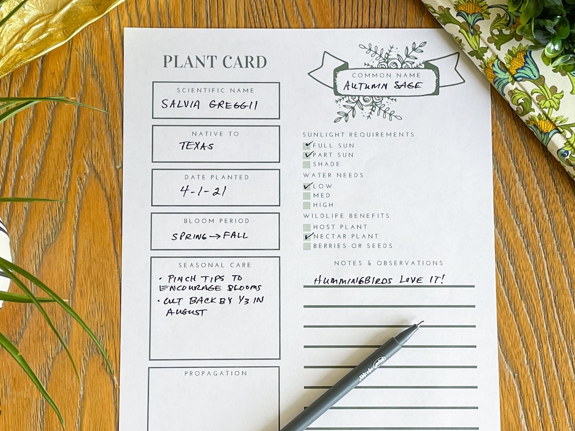 Plant Profile Card Printable PDF Instant Download Plant Etsy