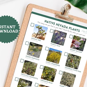 Nevada Native Plants Checklist: Desert Hike Scavenger Hunt (PDF Download)