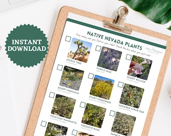 ネバダ州原産植物チェックリスト：砂漠ハイキング・スカベンジャーハント（PDFダウンロード）