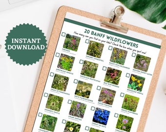 バンフのワイルドフラワー チェックリスト: カナダのワイルドフラワー スカベンジャー ハント (印刷可能な PDF)