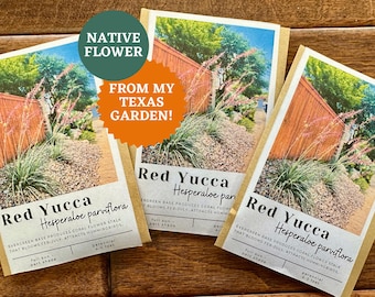 Red Yucca Seeds: Texas Native Hummingbird Plant (Hesperaloe parviflora)