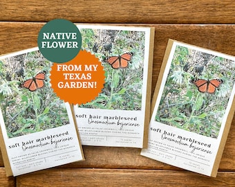 Soft Hair Marbleseed Seeds | Texas Native Butterfly Plant