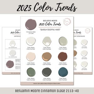 2025 Color Trends Benjamin Moore Interior Home Paint Color Scheme Trending Popular Paint Palette Consult Color of the Year Cinnamon Slate