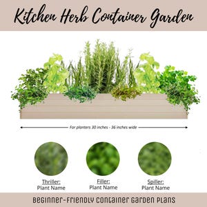 Puede incluir: Un diagrama que muestra un plan de jardín en contenedor fácil para principiantes para un jardín de hierbas de cocina. El plan incluye una planta de emoción, una planta de relleno y una planta colgante. El diagrama muestra una maceta rectangular con un acabado de madera marrón claro. La maceta tiene de 76 a 91 cm de ancho. El texto "Kitchen Herb Container Garden" está en la parte superior del diagrama.