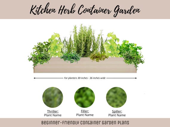 Easy Window Box Vegetable Garden Guide Beginner-Friendly Herb Planter Plan How-To Herb Garden Container Layout Vegetable Garden DIY Design