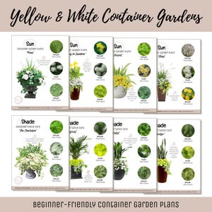May include: A collection of eight instructional cards titled Yellow & White Container Gardens and Beginner-Friendly Container Garden Plans. Each card displays a potted plant arrangement with labeled sections for Thriller, Filler, and Spiller plants.