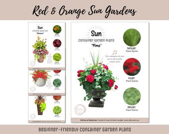 Easy Container Flower Garden Guide Beginner-Friendly Potted Flower Plan How-To Garden Container Layout Flower Design Garden DIY Red Sun