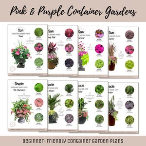 Easy Container Flower Garden Guide Beginner-Friendly Potted Flower Plan How-To Garden Container Layout Flower Design Garden DIY Pink Bundle