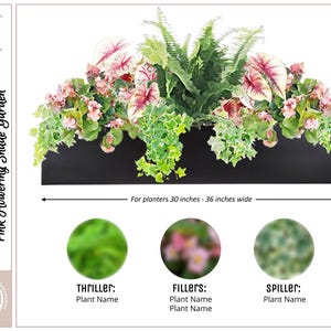 May include: A rectangular black window box planter filled with a Pink Flowering Shade Garden arrangement. The display features green ferns, pink and white variegated caladium leaves, and trailing ivy. Text indicates it fits 30 to 36 inches wide.