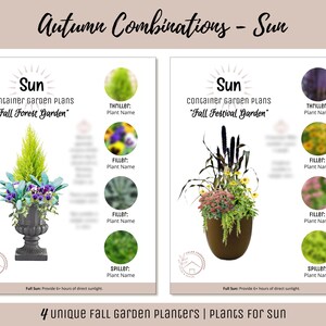 May include: Two container garden plans for fall, labeled "Fall Forest Garden" and "Fall Festival Garden." Each plan includes a sun symbol and plant details. The image also features the text "Autumn Combinations - Sun" and "4 unique Fall Garden Planters | Plants For sun."