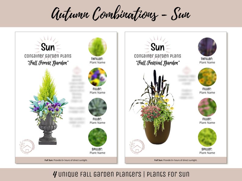 May include: Two container garden plans for fall, labeled "Fall Forest Garden" and "Fall Festival Garden." Each plan includes a sun symbol and plant details. The image also features the text "Autumn Combinations - Sun" and "4 unique Fall Garden Planters | Plants For sun."