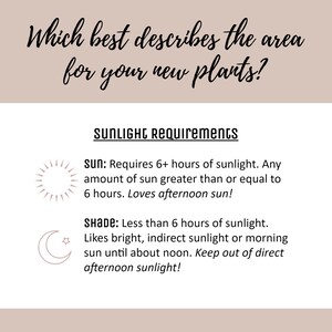 May include: A beige graphic with text about sunlight requirements for plants. The text reads "Which best describes the area for your new plants?" and details sun and shade needs, including hours of sunlight.