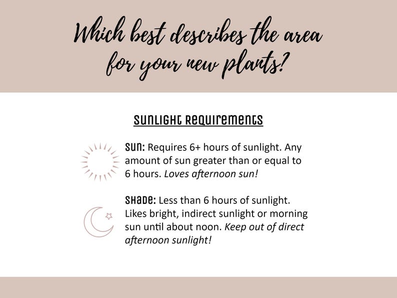 May include: A beige graphic with text about sunlight requirements for plants. The text reads "Which best describes the area for your new plants?" and details sun and shade needs, including hours of sunlight.