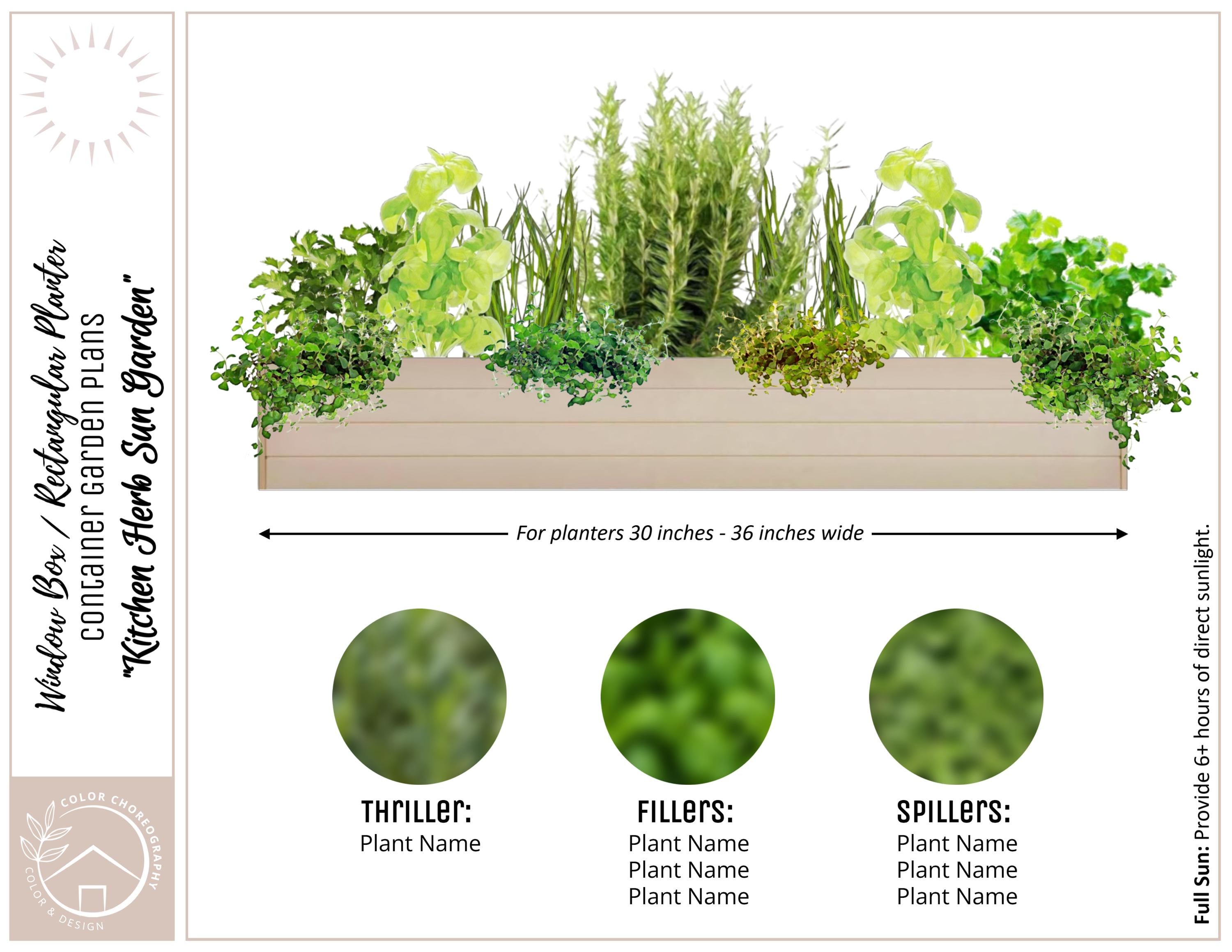 Guía fácil para crear un huerto de verduras en jardinera de ventana: plan  para principiantes de macetas de hierbas, cómo hacer un huerto de hierbas,  diseño de contenedor, diseño de huerto casero -, image size:3000x2318