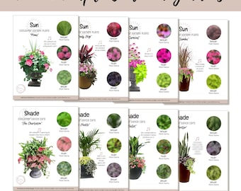 Pink Purple Sun Easy Container Flower Garden Guide Beginner-Friendly Potted Flower Plan How-To Garden Container Layout Design DIY Bundle