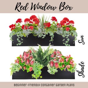 May include: Two black rectangular window boxes filled with plants. The top box, labeled Sun, contains red geraniums, spiky green foliage, and trailing ivy. The bottom box, labeled Shade, features pink-veined caladiums, ferns, and green ivy.