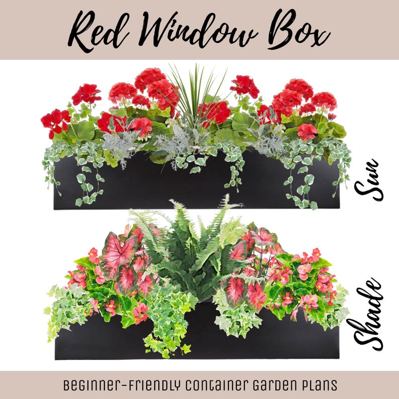 May include: Two black rectangular window boxes filled with plants. The top box, labeled Sun, contains red geraniums, spiky green foliage, and trailing ivy. The bottom box, labeled Shade, features pink-veined caladiums, ferns, and green ivy.