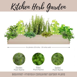 Easy Window Box Vegetable Garden Guide Beginner-Friendly Herb Planter Plan How-To Herb Garden Container Layout Vegetable Garden DIY Design