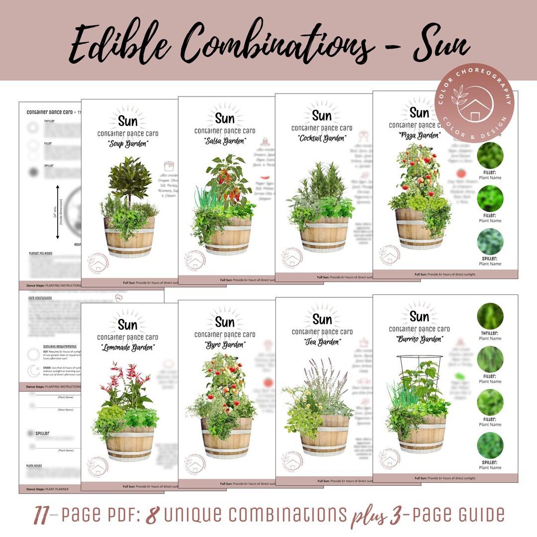 Container Garden Howto Garden Design Plans Vegetable Etsy