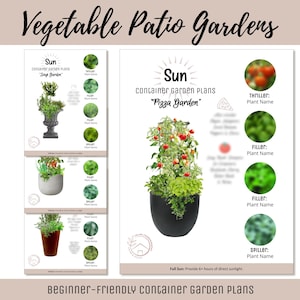 Könnte beinhalten: Ein Leitfaden für anfängerfreundliche Containergartenpläne. Das Bild zeigt den Text "Vegetable Patio Gardens" und "Beginner-Friendly Container Garden Plans". Es enthält Illustrationen von Containergärten mit Pflanzennamen und Informationen zur Sonneneinstrahlung.