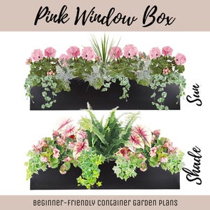 Easy Window Box Flower Garden Guide Beginner-Friendly Flower Plan How-To Garden Container Layout Flower Design Garden DIY Pink Sun & Shade image 1