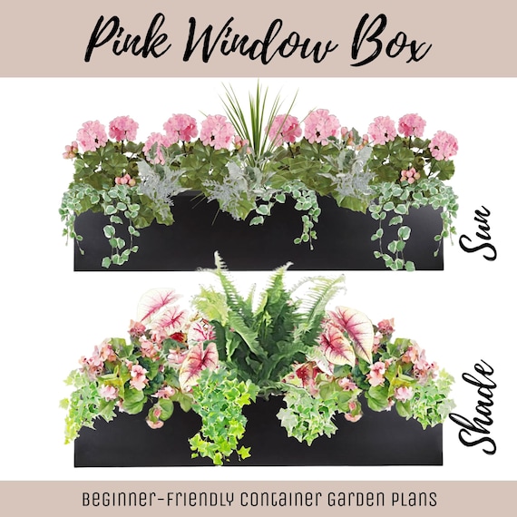 Easy Window Box Flower Garden Guide Beginner-Friendly Flower Plan How-To Garden Container Layout Flower Design Garden DIY Pink Sun & Shade