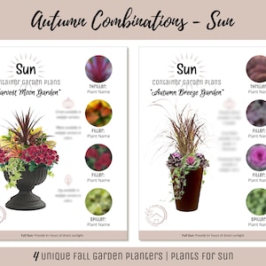 May include: Two container garden plan designs for autumn, labeled "Harvest Moon Garden" and "Autumn Breeze Garden." Each plan features a sun symbol, plant names, and color swatches. The text "4 unique Fall Garden Planters | Plants For sun" is at the bottom.