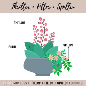 May include: A graphic illustration of a gray planter containing three types of plants labeled Thriller, Filler, and Spiller. The Thriller has tall pink berries, the Filler has broad green leaves, and the Spiller has small peach flowers and green foliage.