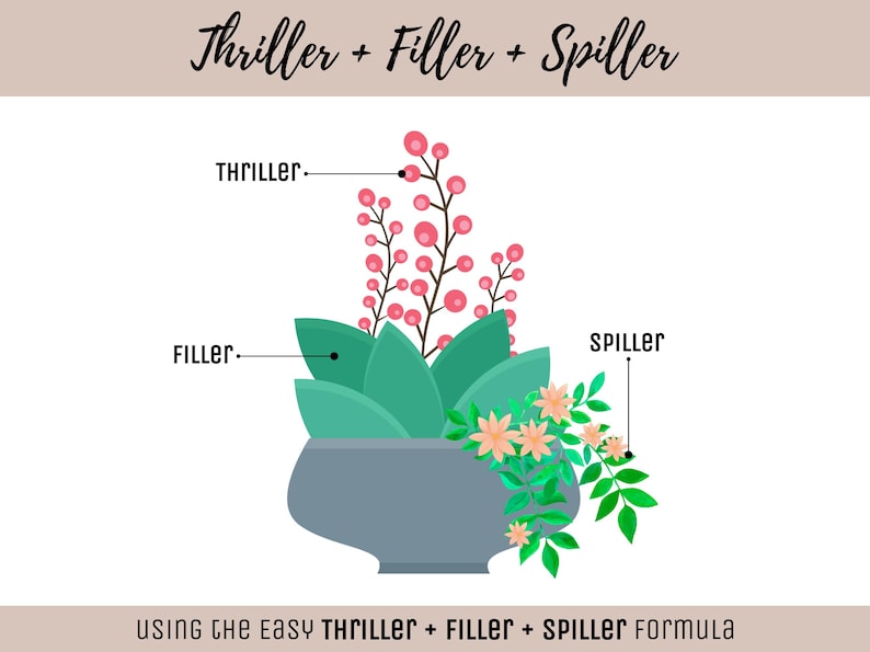 May include: A graphic illustration of a gray planter containing three types of plants labeled Thriller, Filler, and Spiller. The Thriller has tall pink berries, the Filler has broad green leaves, and the Spiller has small peach flowers and green foliage.