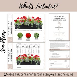 Easy Window Box Flower Garden Guide Beginner-Friendly Flower Plan How-To Garden Container Layout Flower Design Garden DIY Red Sun & Shade image 2