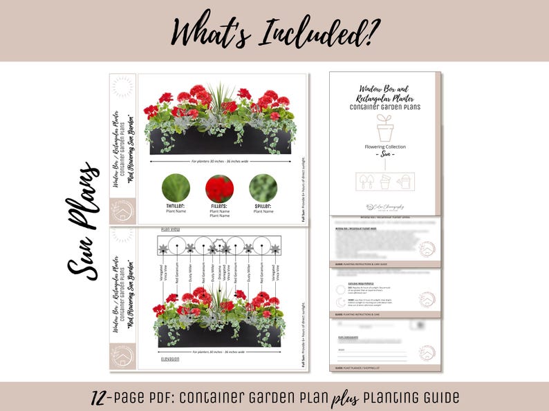 Easy Window Box Flower Garden Guide Beginner-Friendly Flower Plan How-To Garden Container Layout Flower Design Garden DIY Red Sun & Shade image 2
